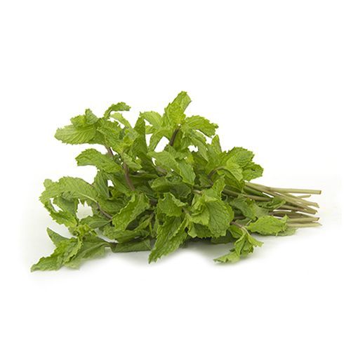 Mint Leaves